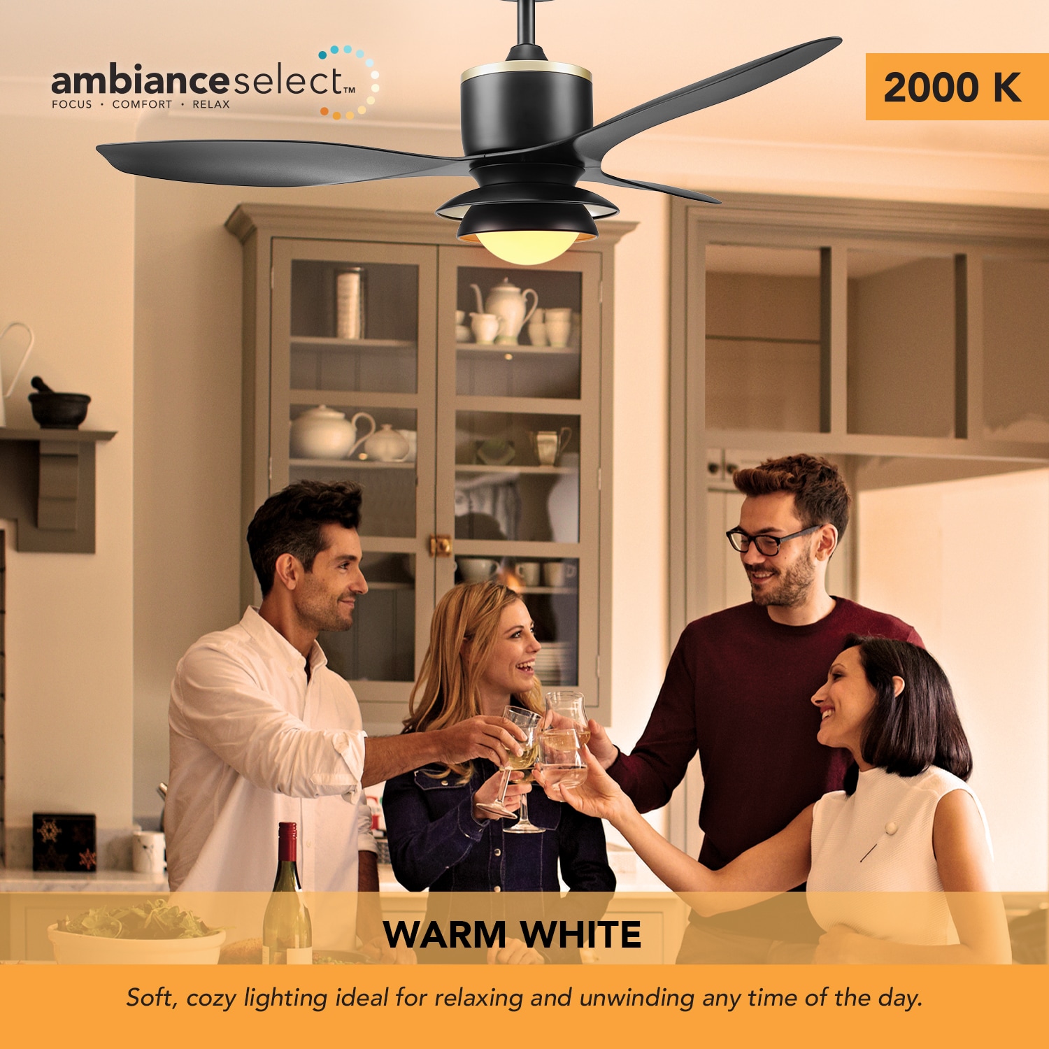 Globe Electric 91006642 Ceiling-Fans - View #8