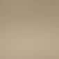Beige Long Plush