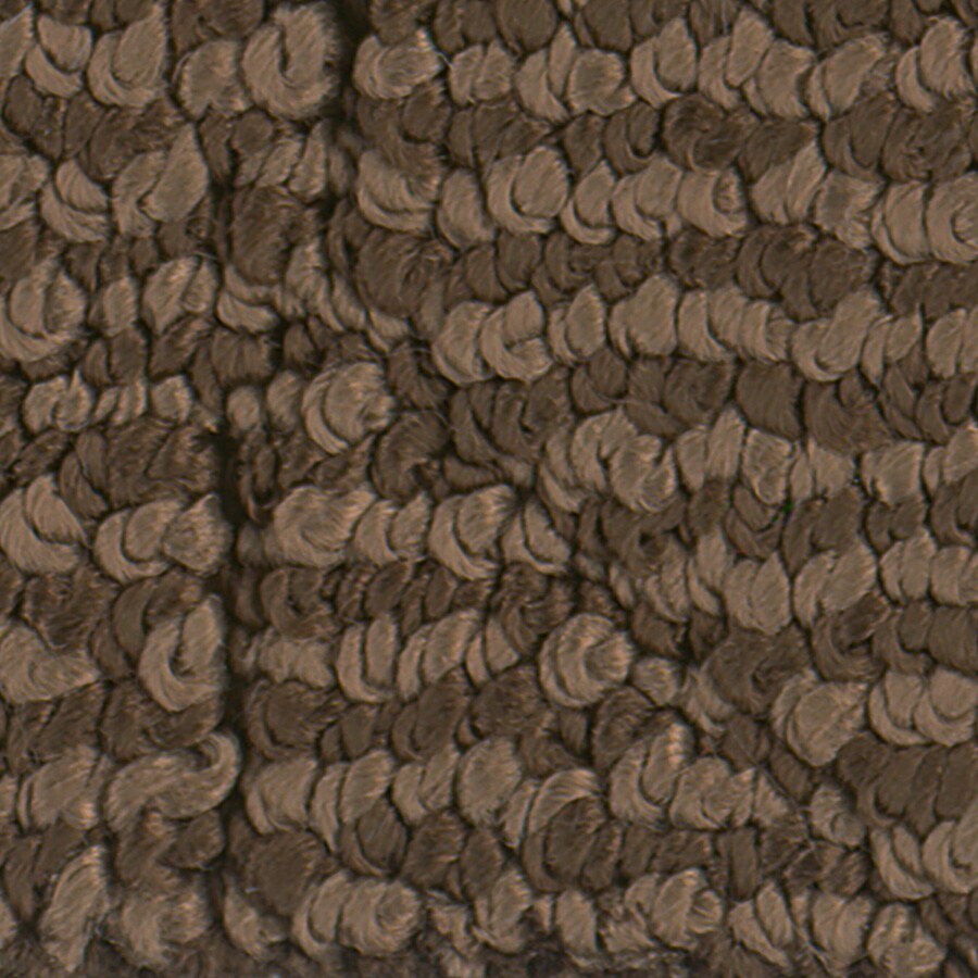 STAINMASTER S796063TREE BAR-3704 (Sample) Active Family Canoe Tree Bark Berber/Loop Carpet