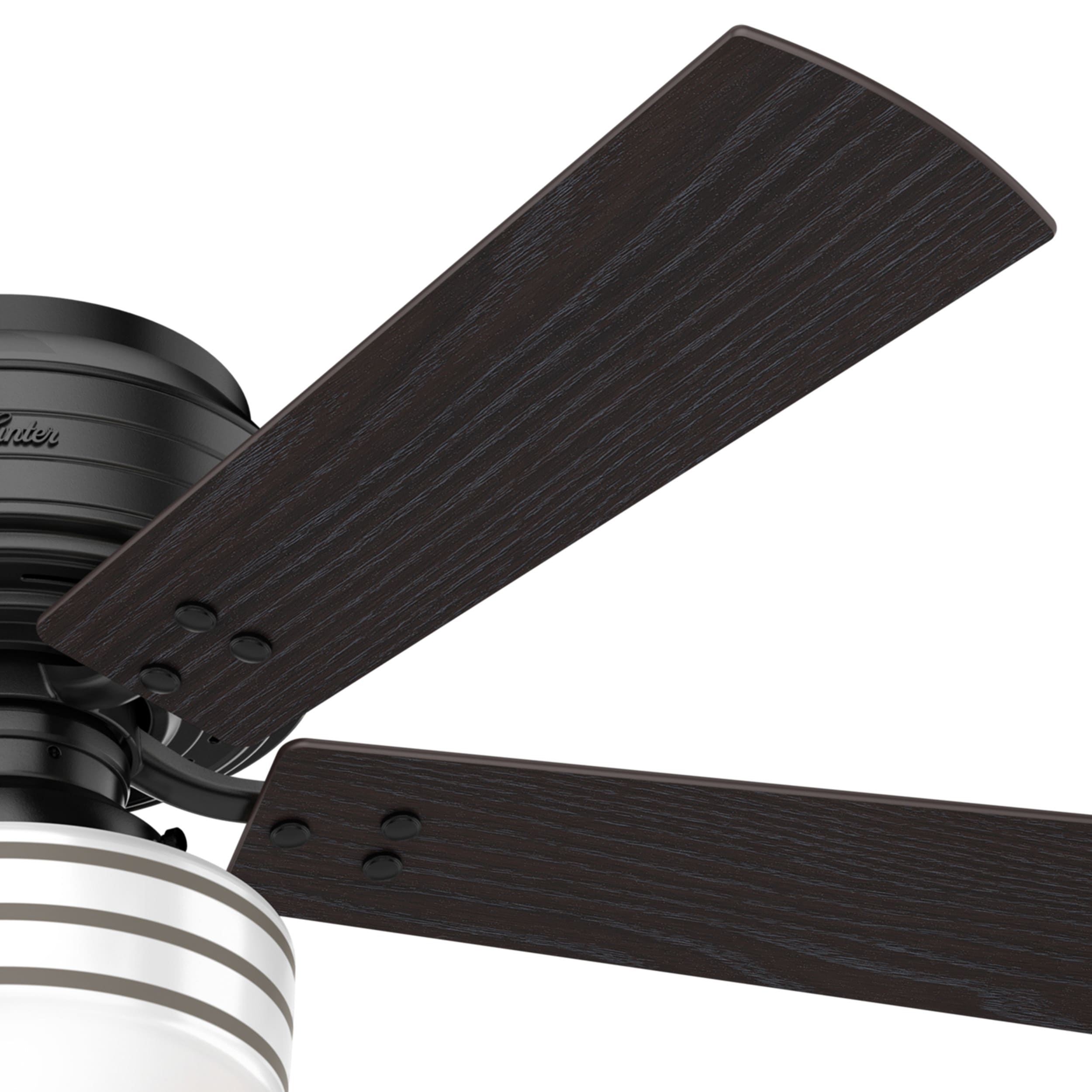 Hunter 55080 Ceiling-Fans - View #7