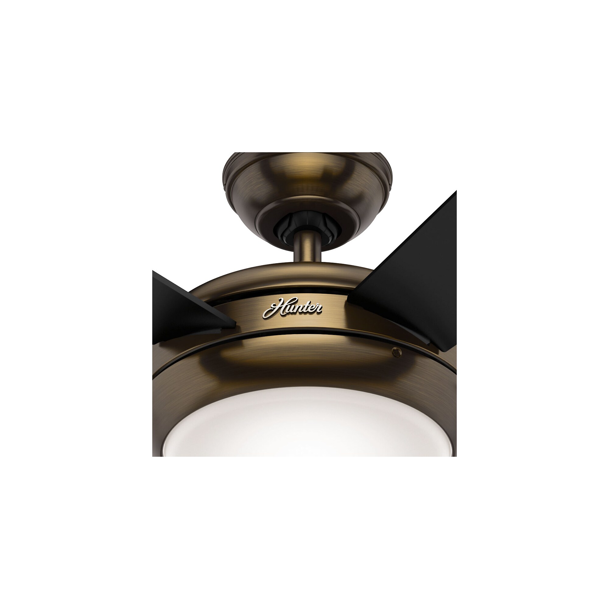Hunter 59134 Ceiling-Fans - View #8