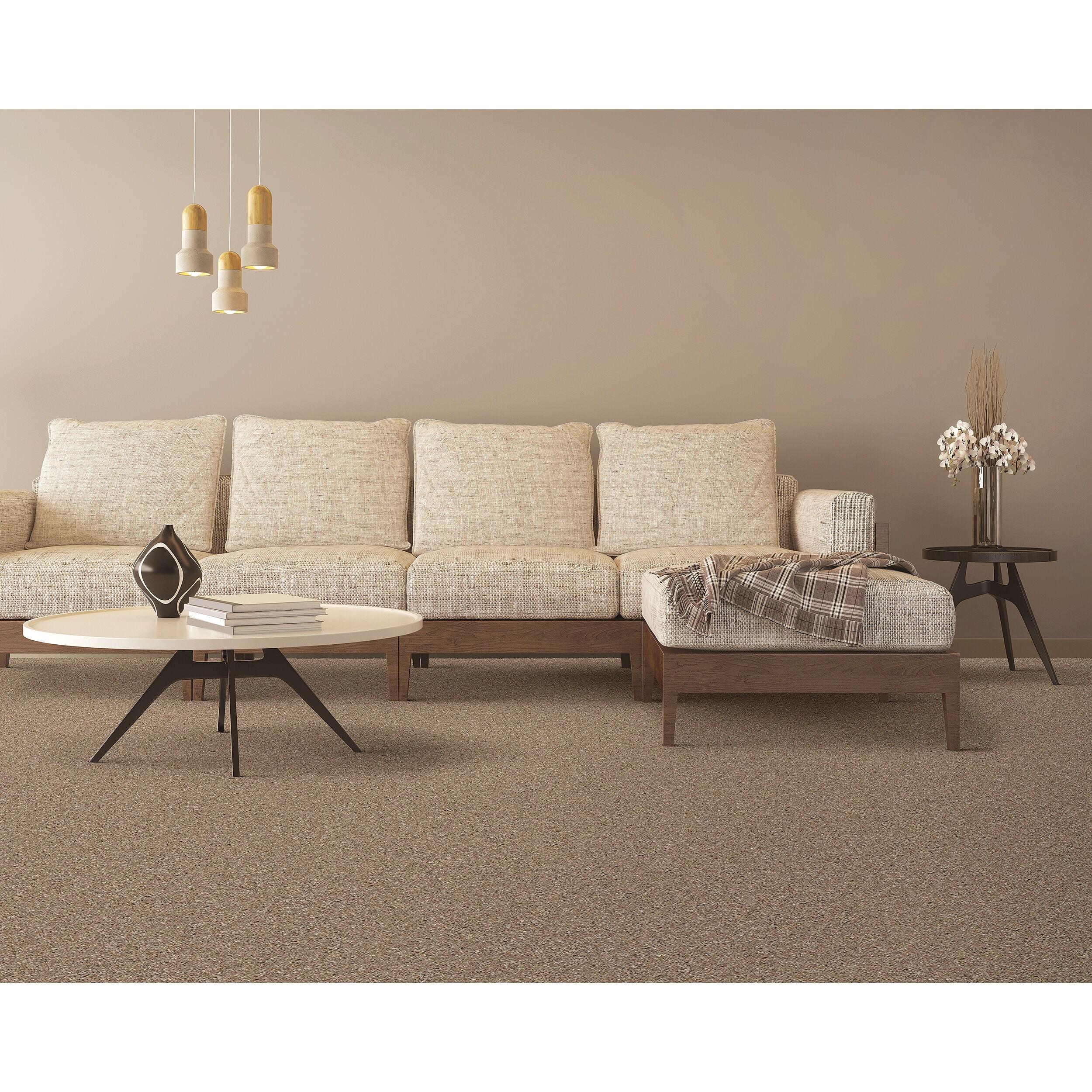 STAINMASTER PetProtect SS022-12-L012 Carpet-Panel - View #2