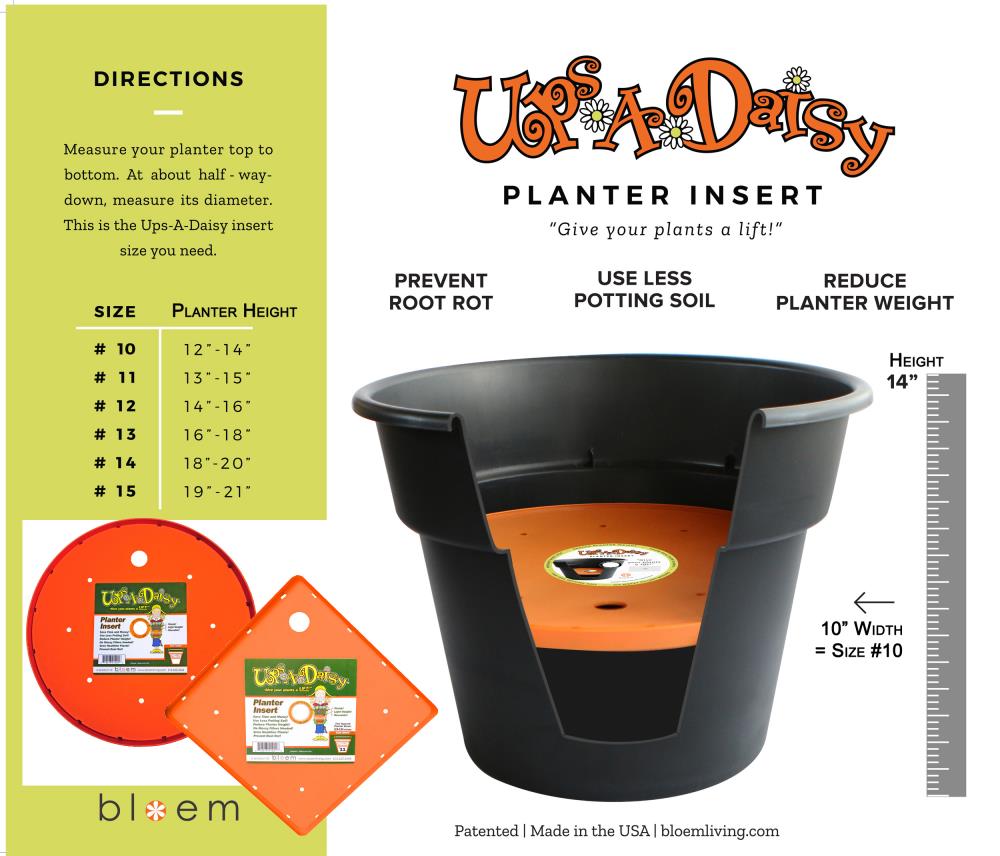 Bloem Square Ups-A-Daisy Planter Filler- 12 Pack