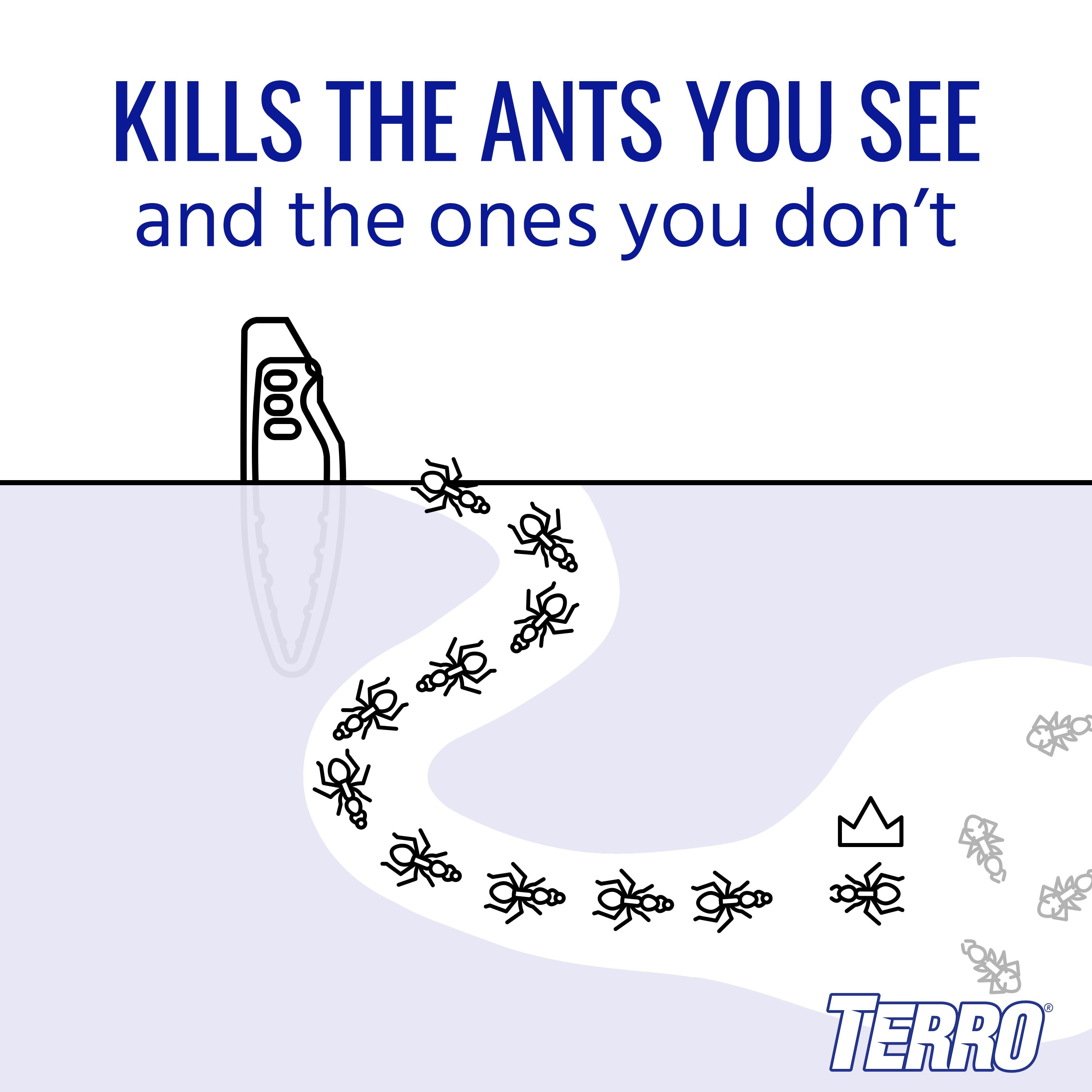 TERRO T1813 pesticides - View #19