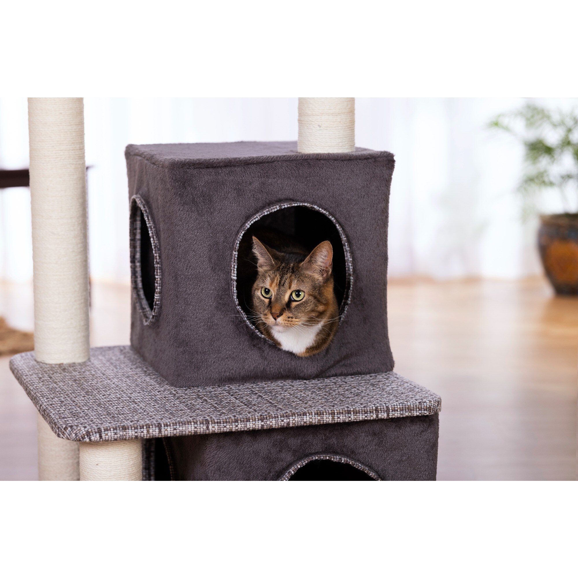 Prevue 7330 Cat-Trees - View #10