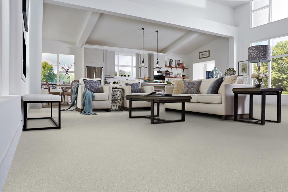 STAINMASTER DL047-407 Carpet-Panel - View #2