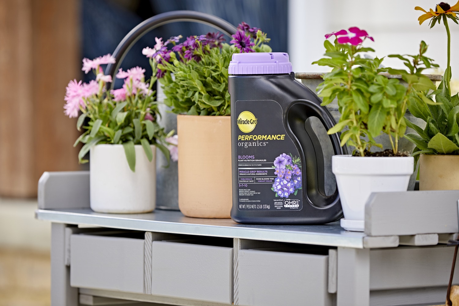 Miracle-Gro 3005710 Plant-Food - View #4