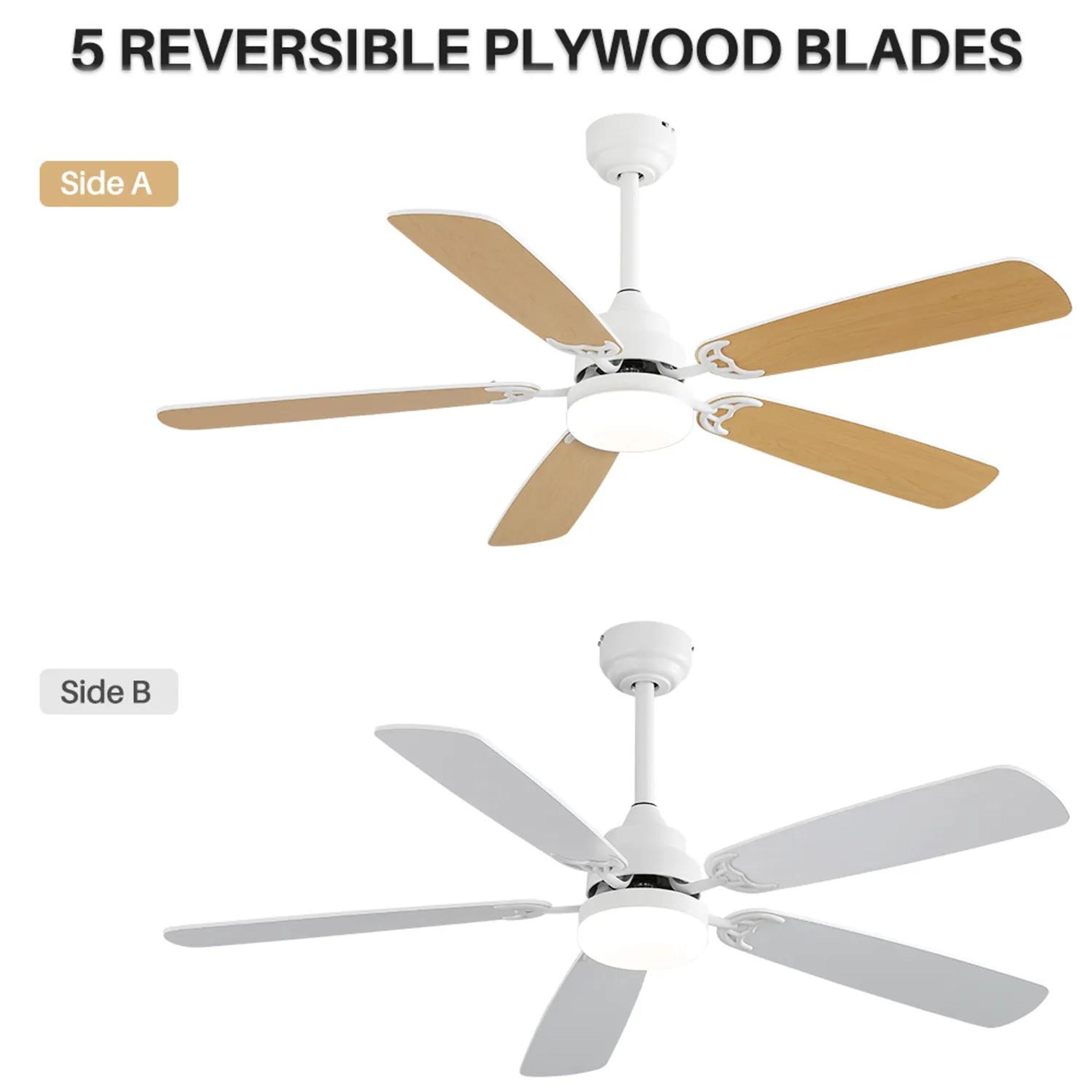 Bayfeve BFKS-46291-CF Ceiling-Fans - View #2