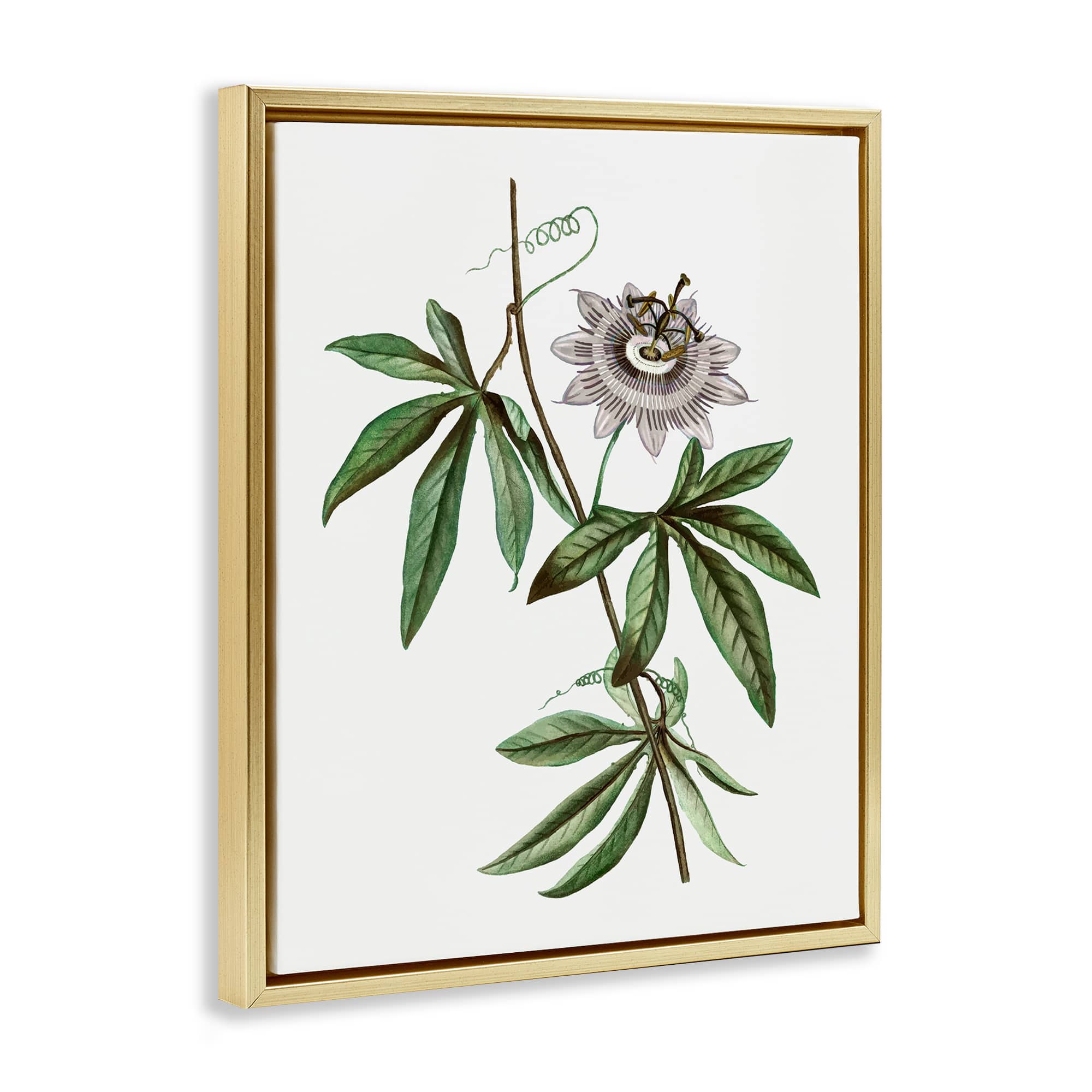 Stupell Industries BS-205-FFG-24X30 Wall-Art - View #2