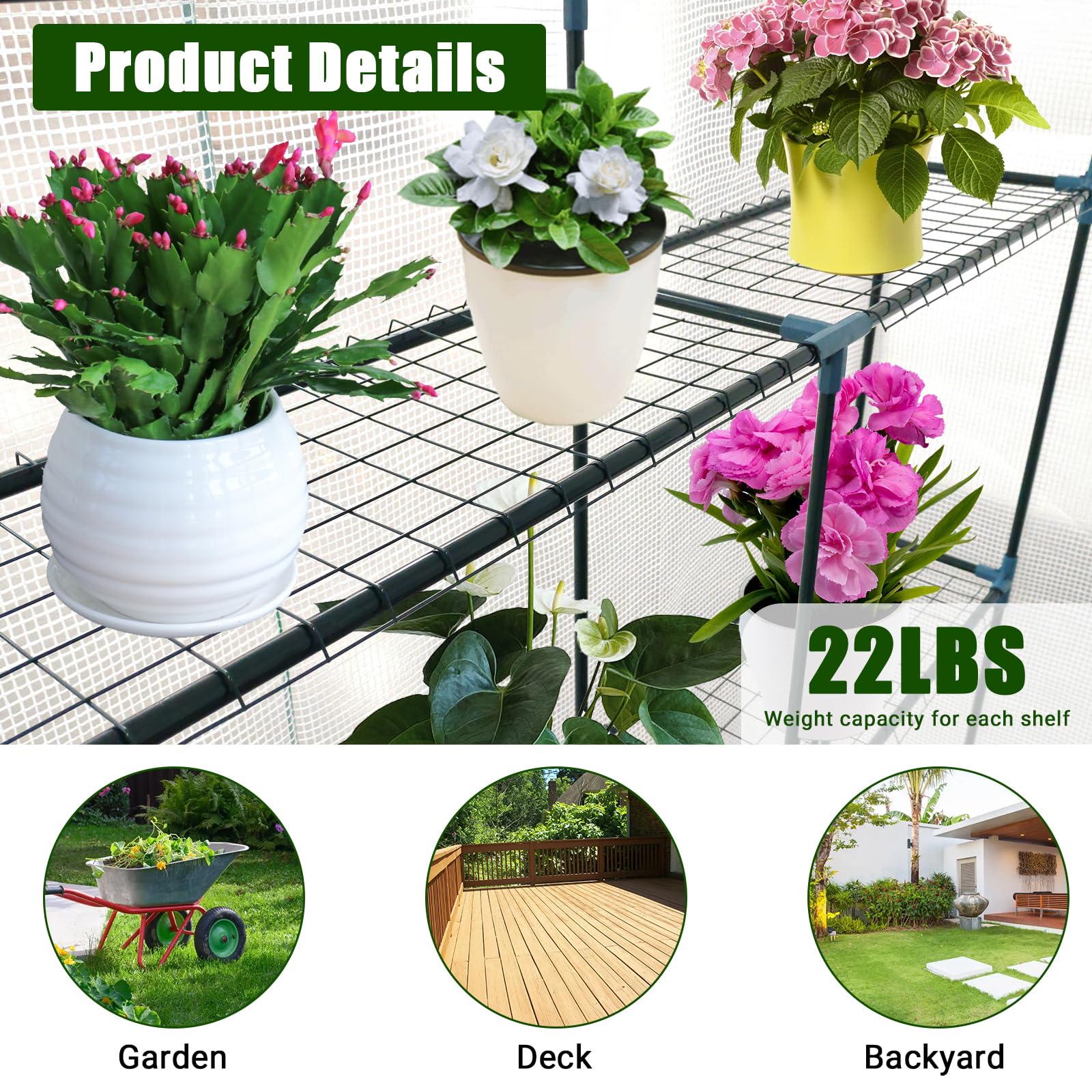 GarveeLife CLJ-E38ZOY-5O31PV0 greenhouses - View #3