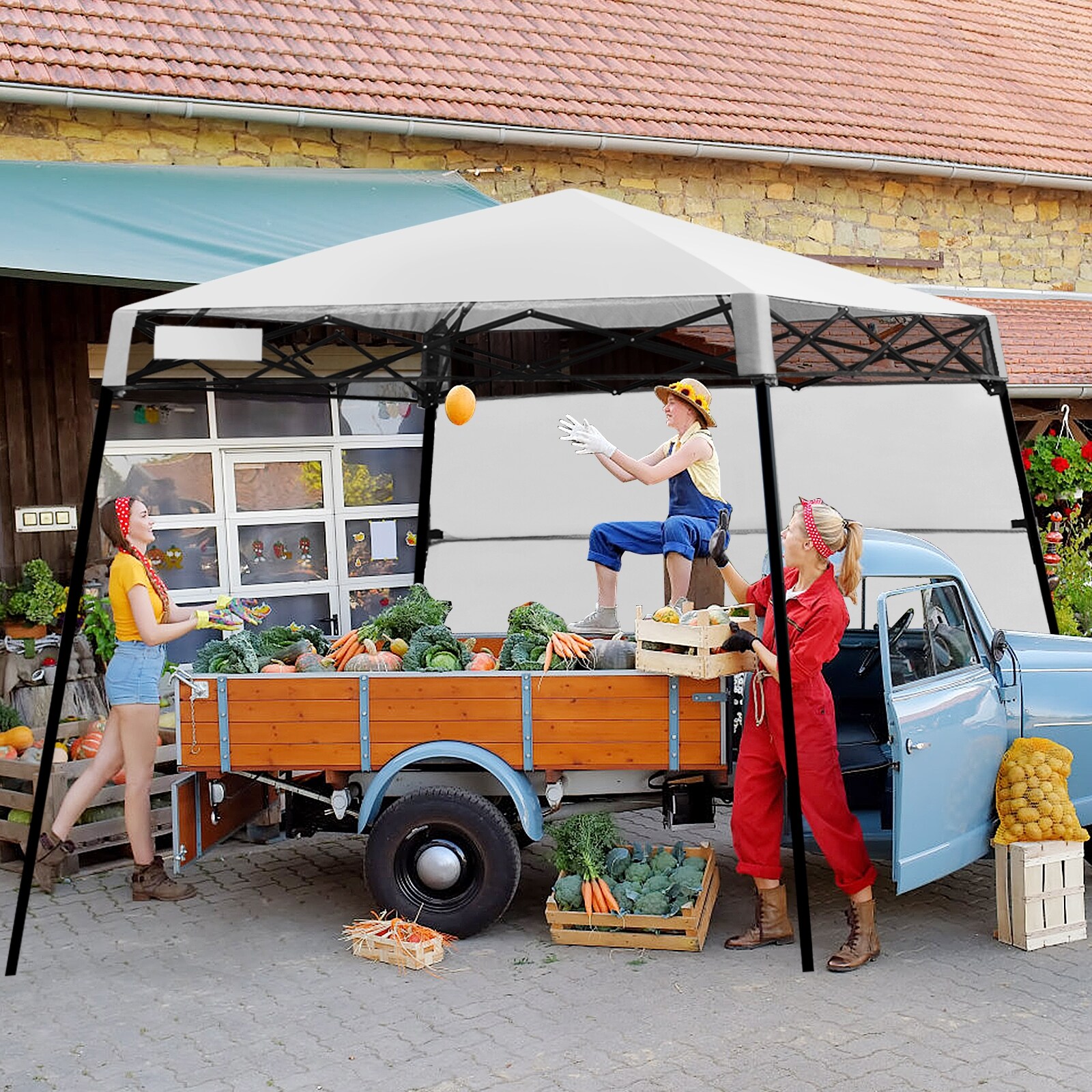 Slickblue D-CO-HW89207PO Canopies-Sl - View #3