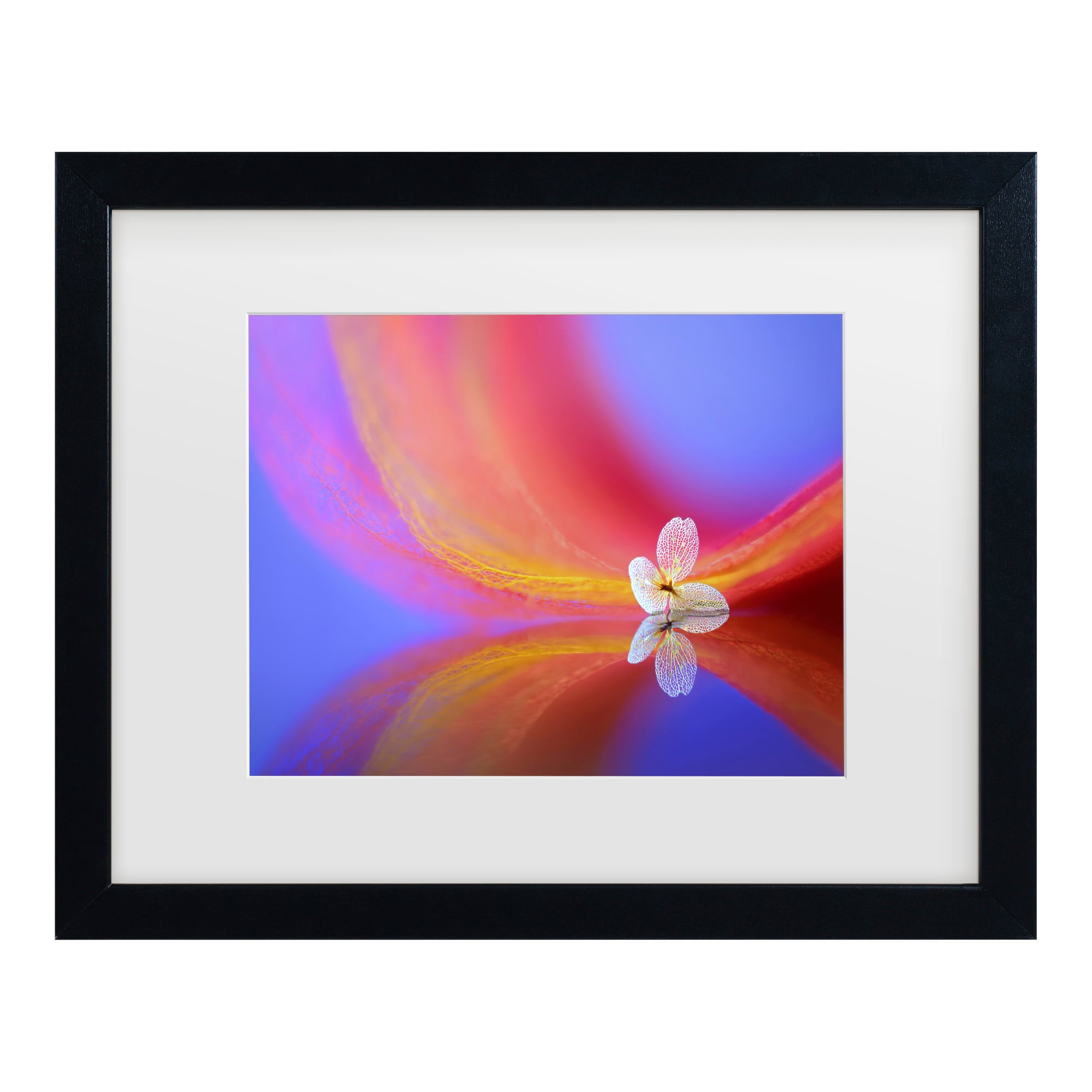 Trademark Fine Art 1X10188-B1620MF Wall-Art - View #2