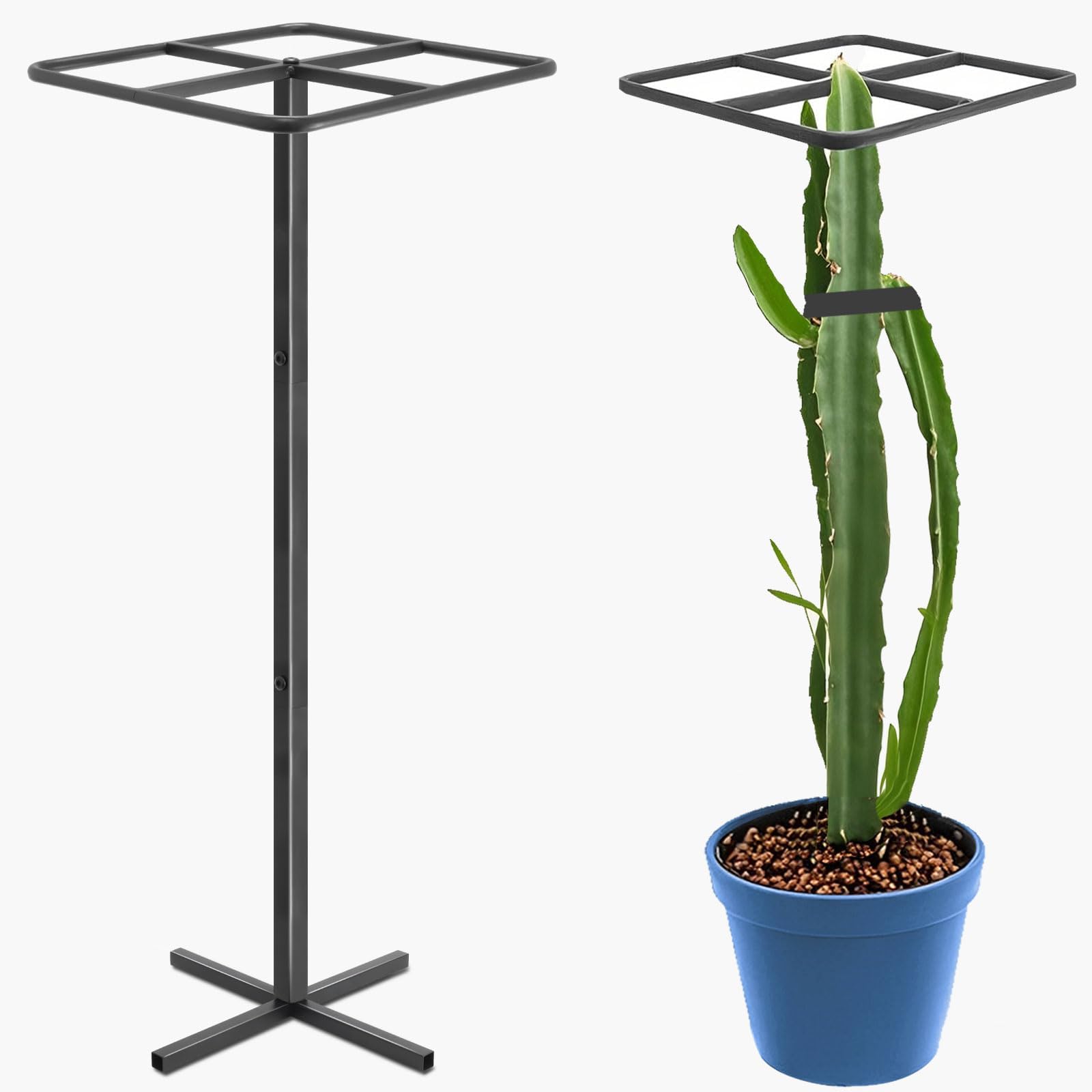 Etokfoks  Metal Dragon Fruit Trellis Adjustable 11 x 11 x 61 Inch Plant Support for Vertical Gardening Climbing Plants Cactus 1 Piece Black