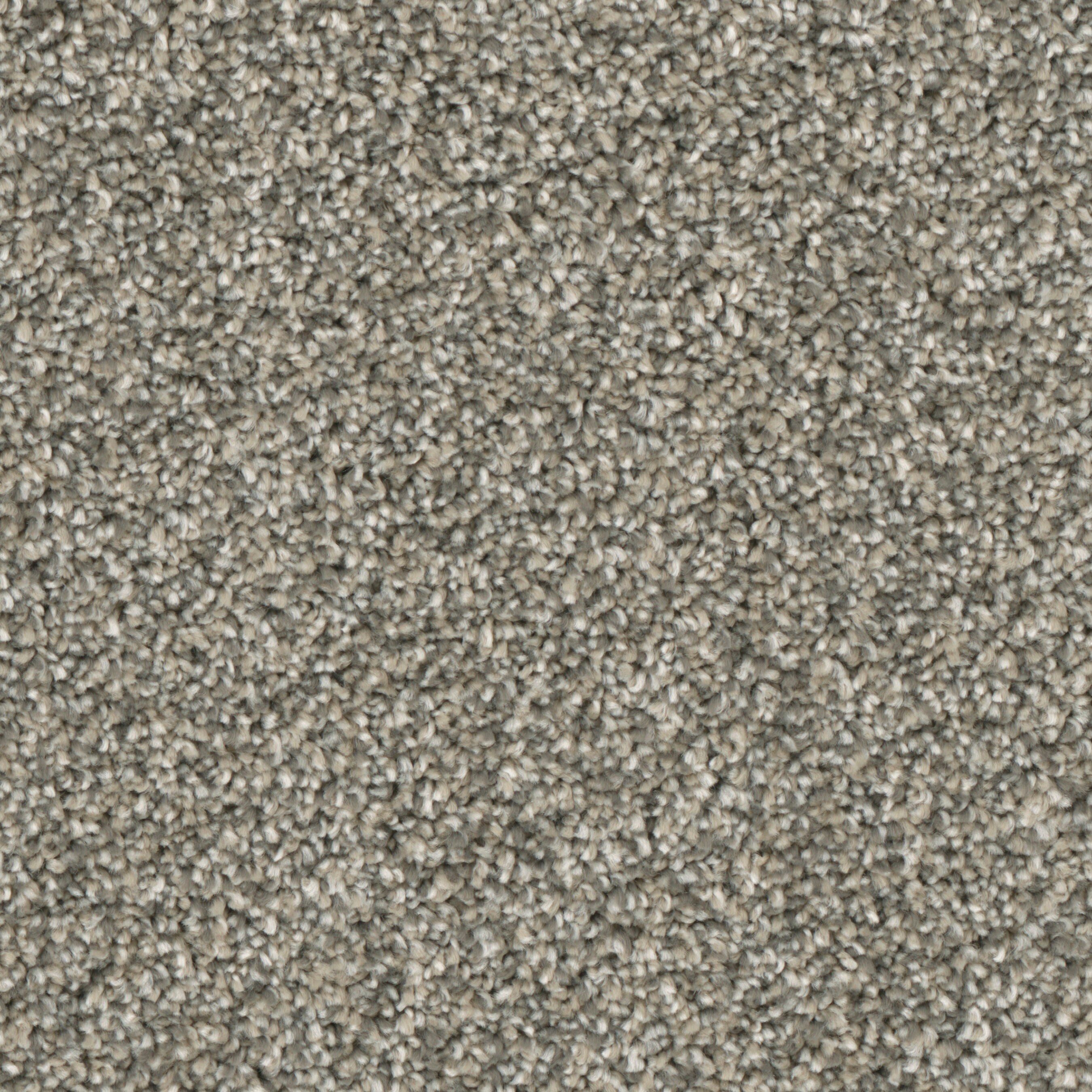 STAINMASTER S9242-913-1200-MO Grant Park Buckhead Brown 42-oz sq yard Polyester Textured Indoor Carpet