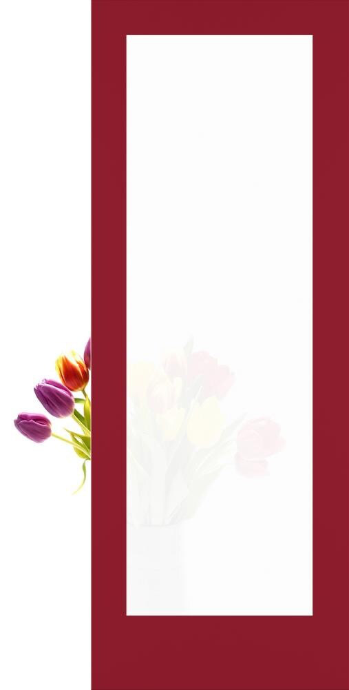 RELIABILT LO1370133 Shaker 28-in x 80-in Barn Red 1-panel Frosted glass Smooth Solid core Prefinished Pine Wood Slab Door