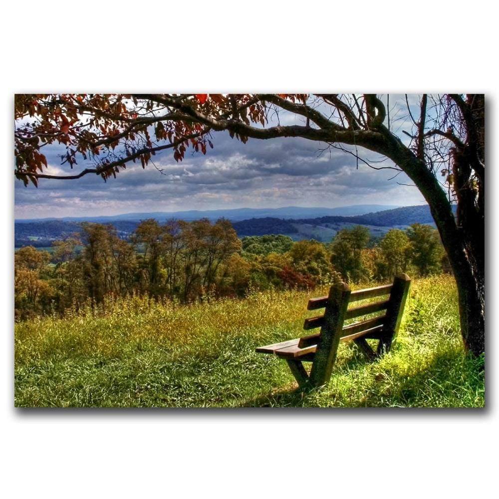 Trademark Fine Art Framed 16-in H x 24-in W Landscape Print on Canvas | HV9X36-B1624LED