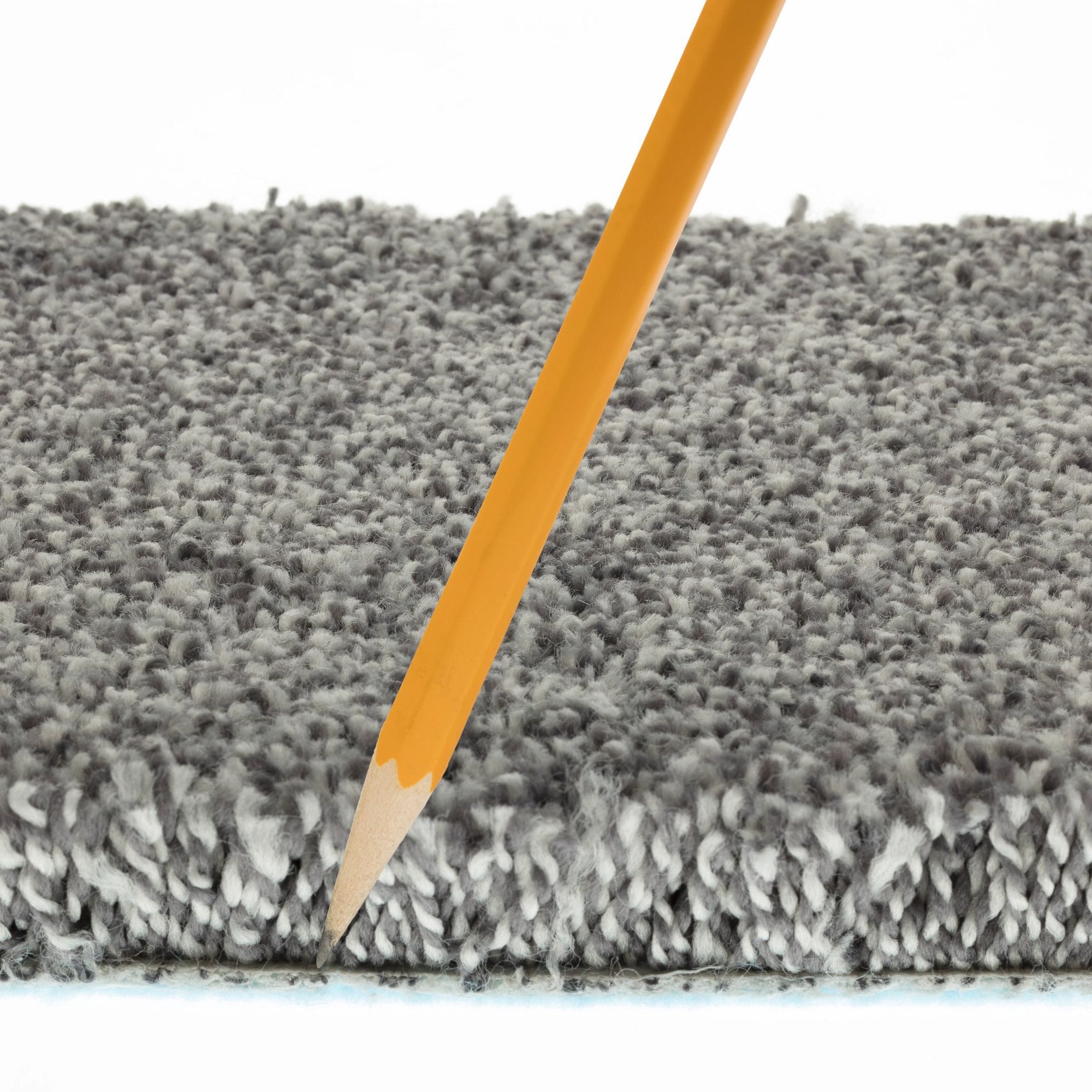 STAINMASTER PetProtect 7L92900538 Carpet-Panel - View #11
