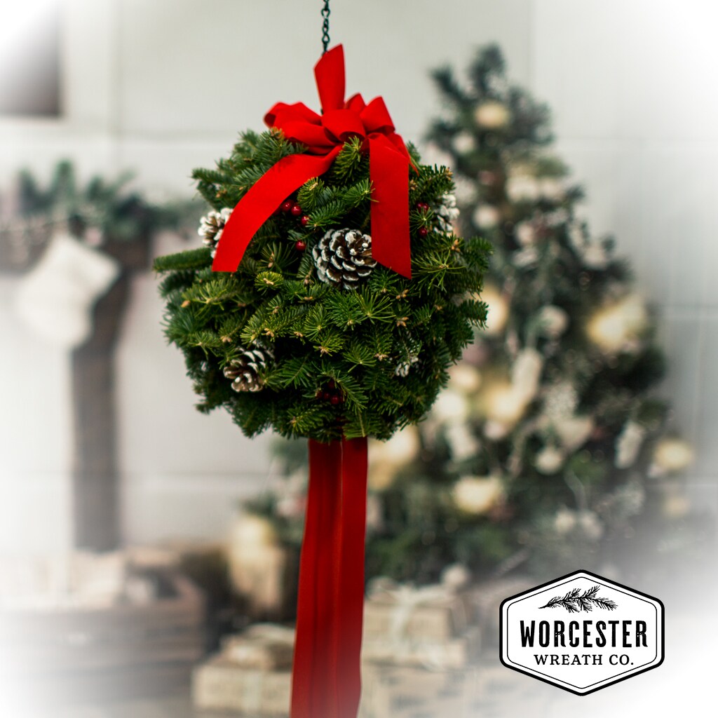 Worcester Wreath BALL Fresh-Cut-Christmas-Decorations - View #4