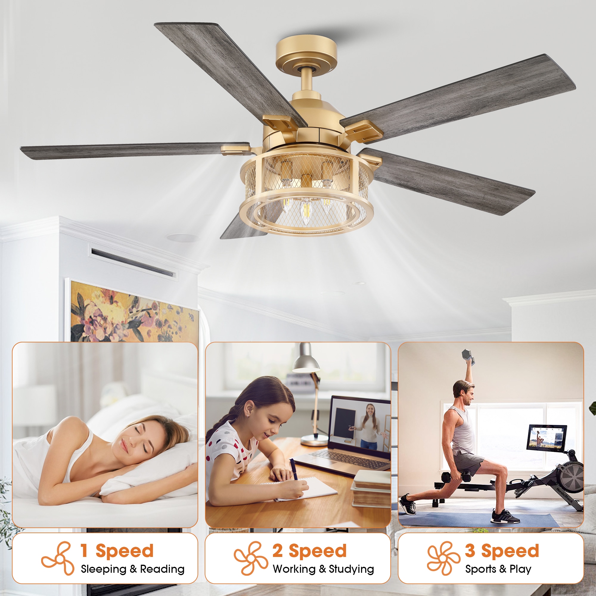 Parrot Uncle F6318GD110V Ceiling-Fans - View #3