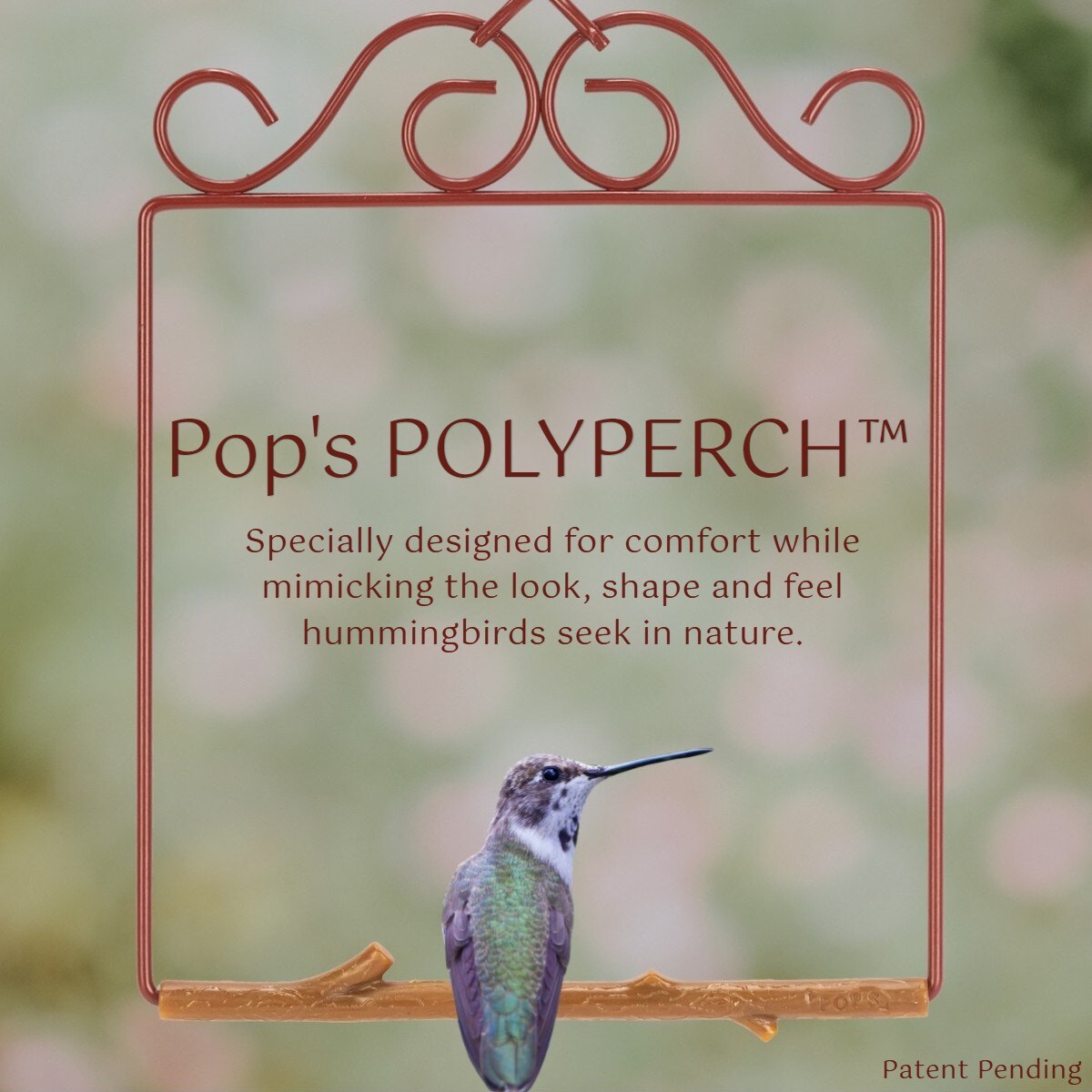 Pop's Birding OGRD-BR Bird-Feeder-Accessories - View #5