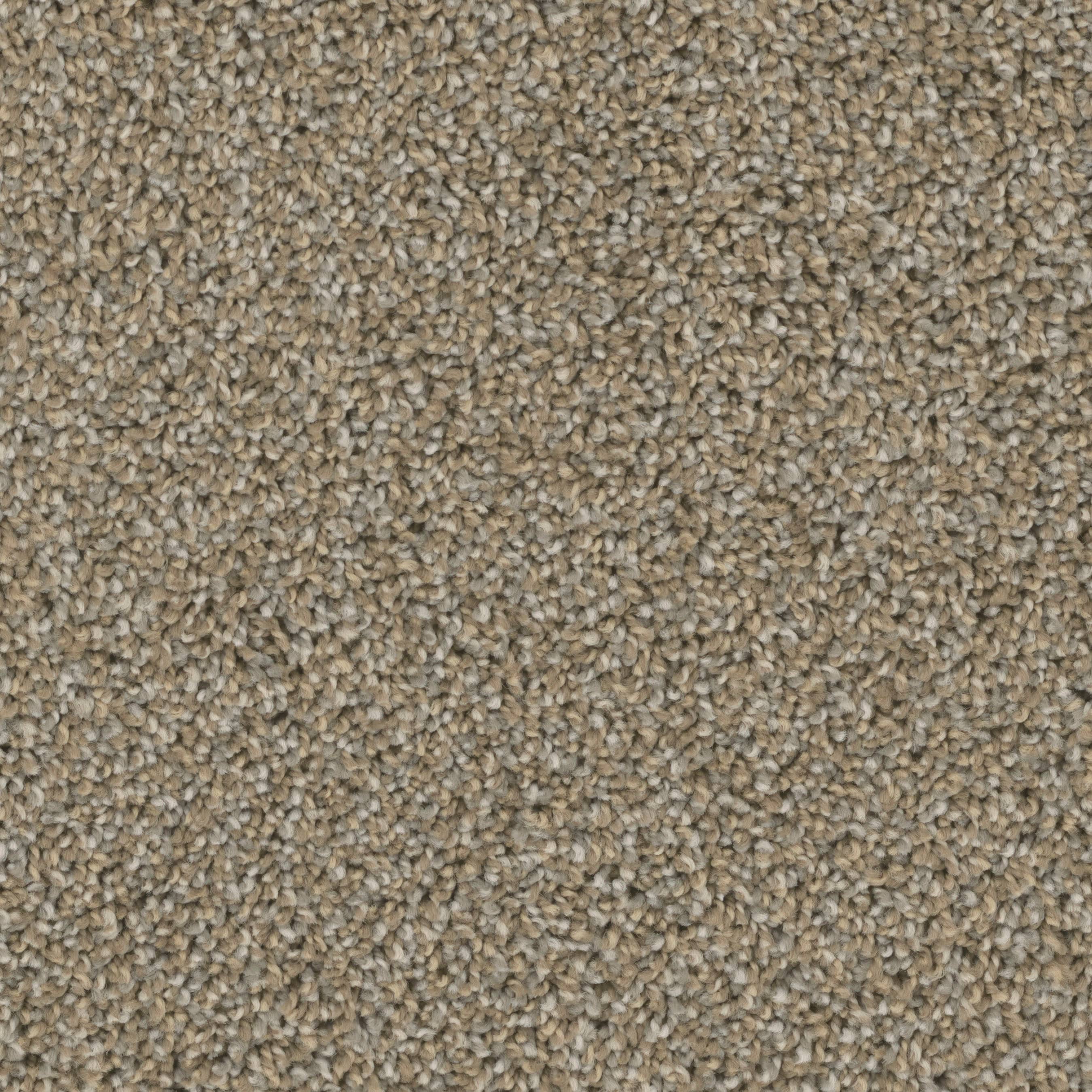 STAINMASTER PetProtect S9355-844-1200-MO Druid Hills I Tradition Multi-Colored 55-oz sq yard Nylon Textured Indoor Carpet