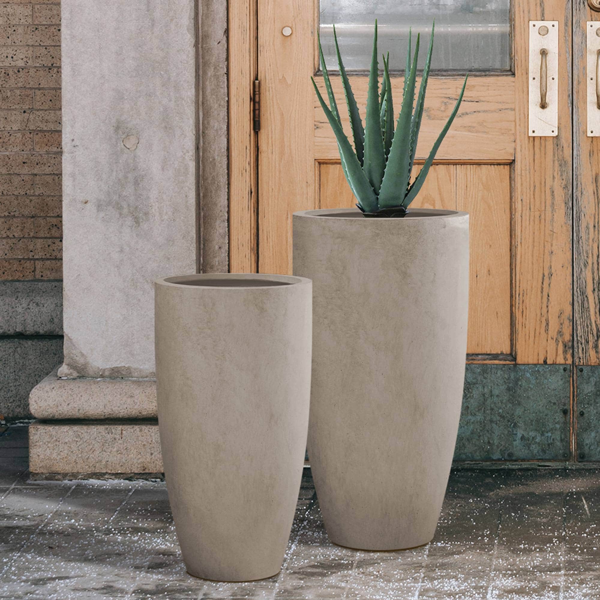 PLANTARA 14 in. D Round Concrete planter with Drainage Hole