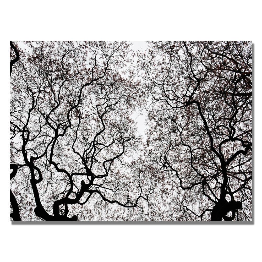 Trademark Fine Art KS442-C3047GG Framed 30-Inches H x 47-Inches W Landscape Canvas Print