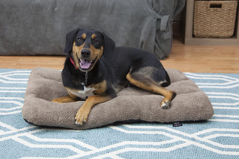 SP CM-0353-CS01 Pet-Beds - View #3
