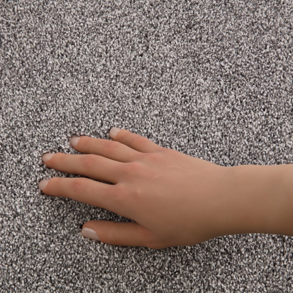 STAINMASTER PetProtect 7L940-540-SAMP Carpet-Samples - View #4
