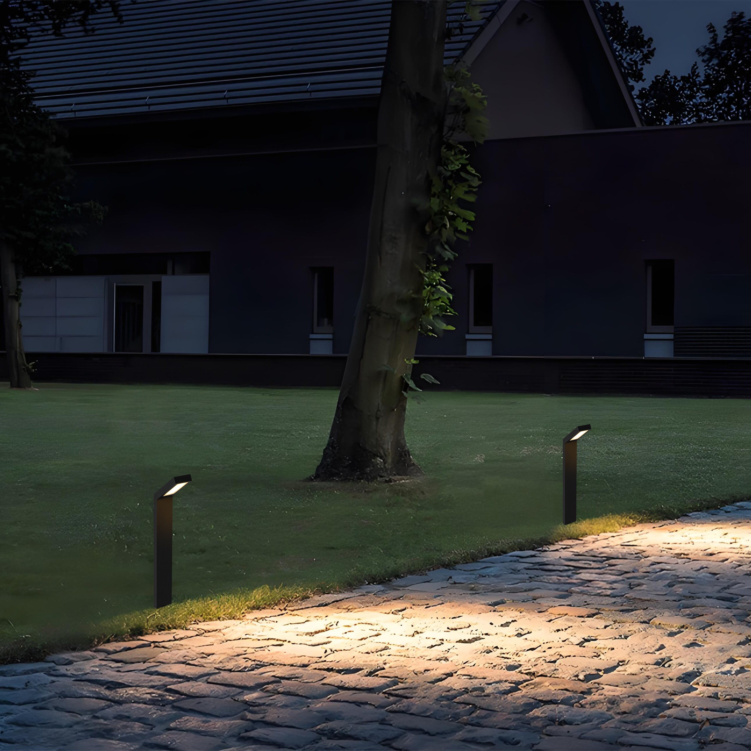 C Cattleya LLA2516-JES-10L Path-Lights - View #7