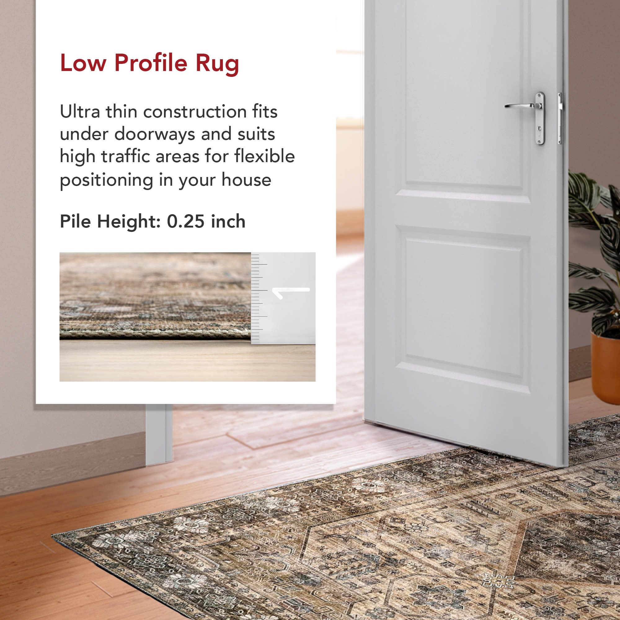 nuLOOM BIRV32A-305 rugs - View #3