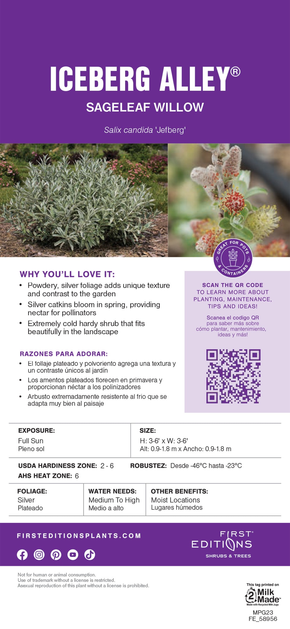 Lowe's NURSERY shrubs - View #8