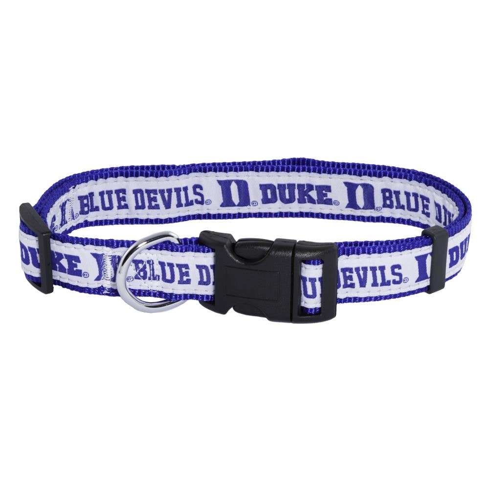 Duke dog outlet collar