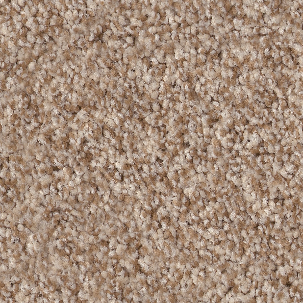 STAINMASTER PetProtect 7L858 - 623 - SAMP (Sample) Reverie III Potter's Clay Brown 63.4-oz sq yard Nylon Textured Indoor Carpet