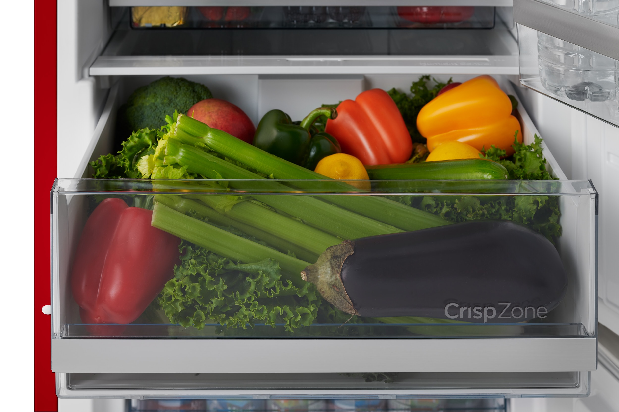iio CRBR-2412IORL Bottom-Freezer-Refrigerators - View #11
