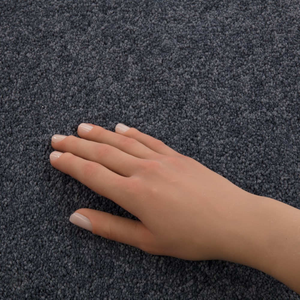 STAINMASTER PetProtect 7L972-402-SAMP Carpet-Samples - View #4