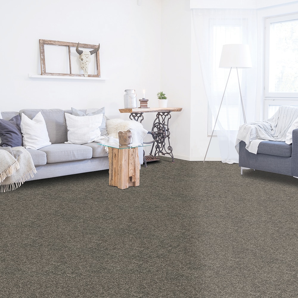 Style Selections SS042-L001-S0808 Carpet-Samples - View #2