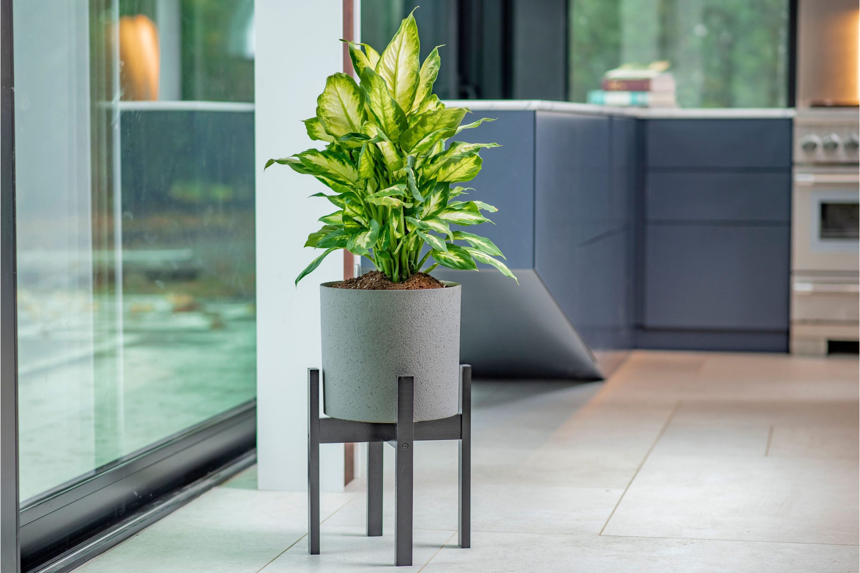 Vita VT17803 Planter-Window-Box - View #2