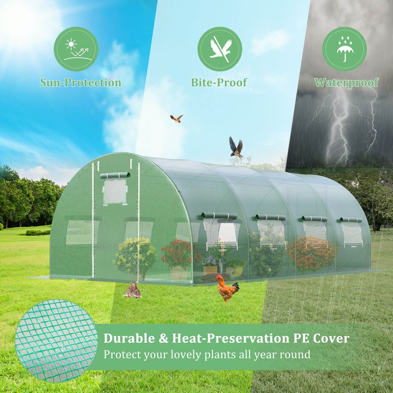 Slickblue D-CO-NG0204TG greenhouses - View #5