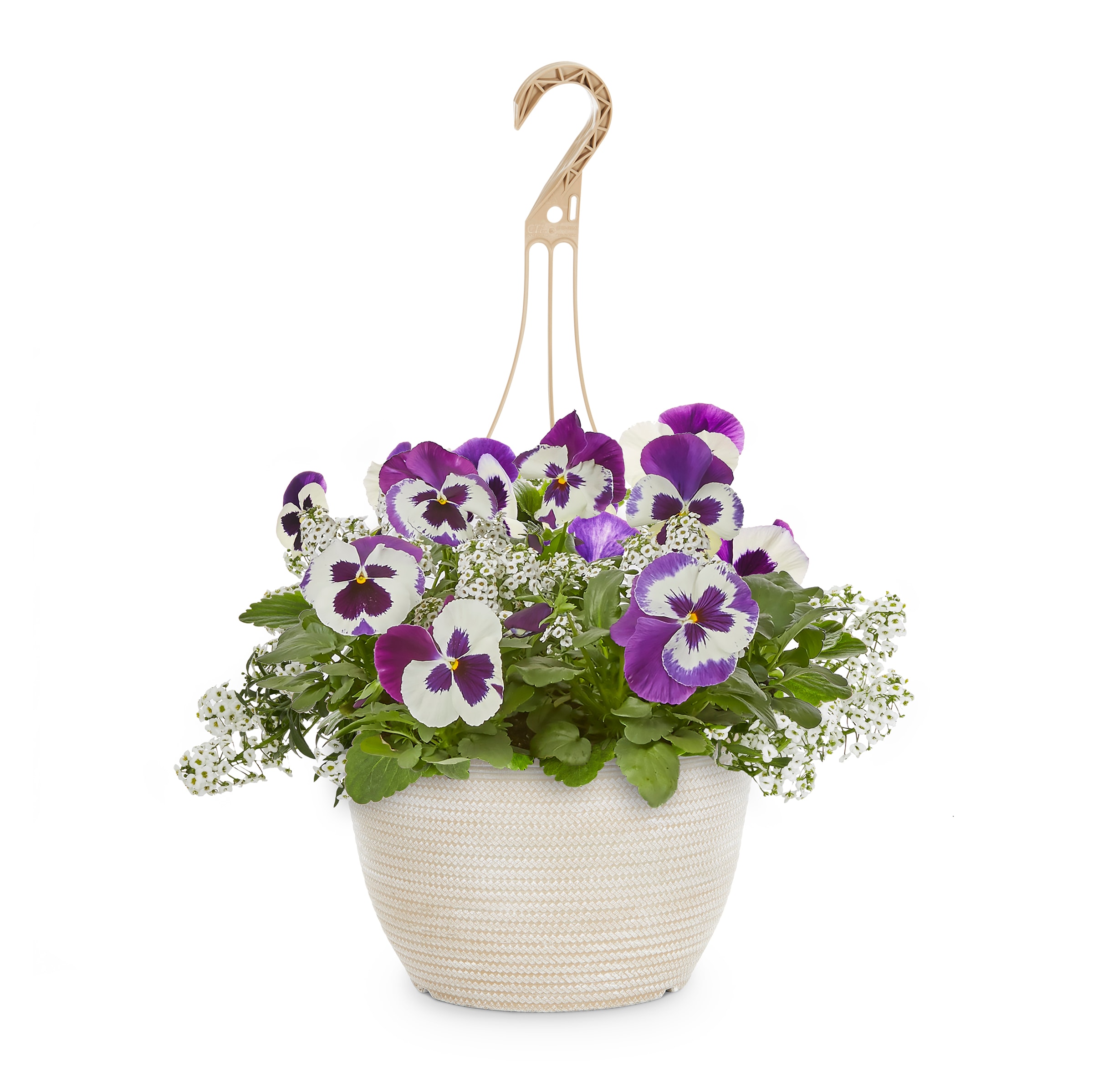 Lowe's NURSERY Multicolor Mixed Annuals Combinations in 2-Gallon Hanging Basket