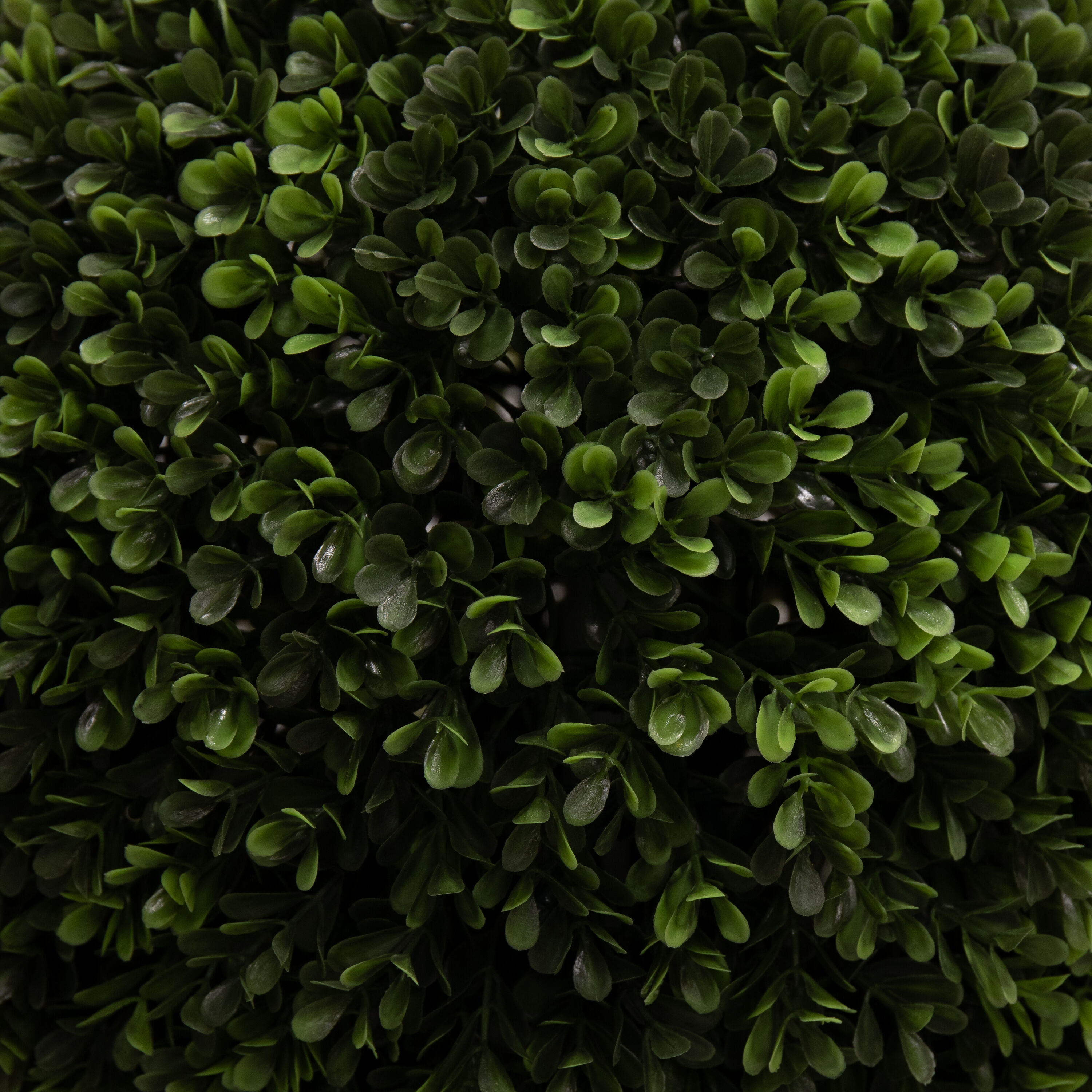allen + roth T1000-LW Artificial-Plants-Trees - View #2