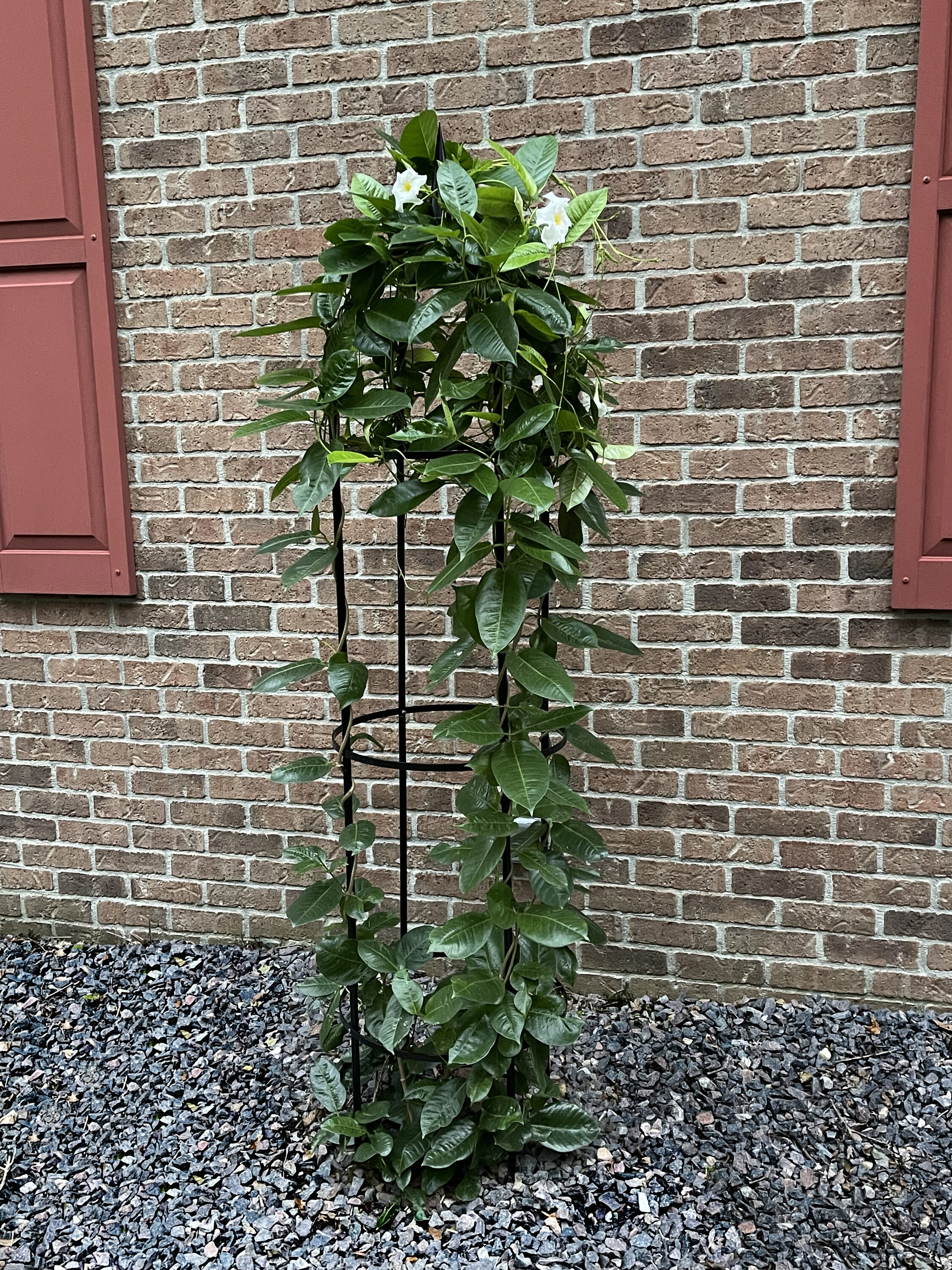  60-0180 Garden-Trellis - View #4