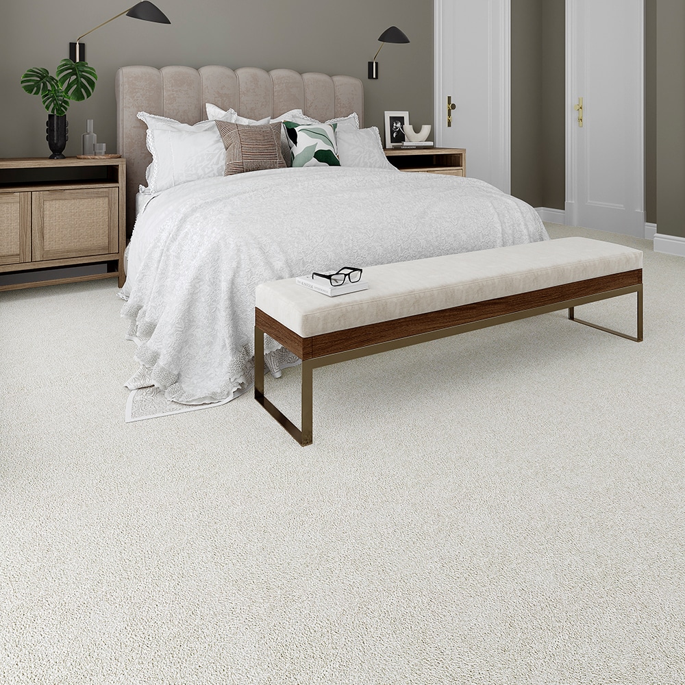 STAINMASTER PetProtect STP24-L008-0808 Carpet-Samples - View #2