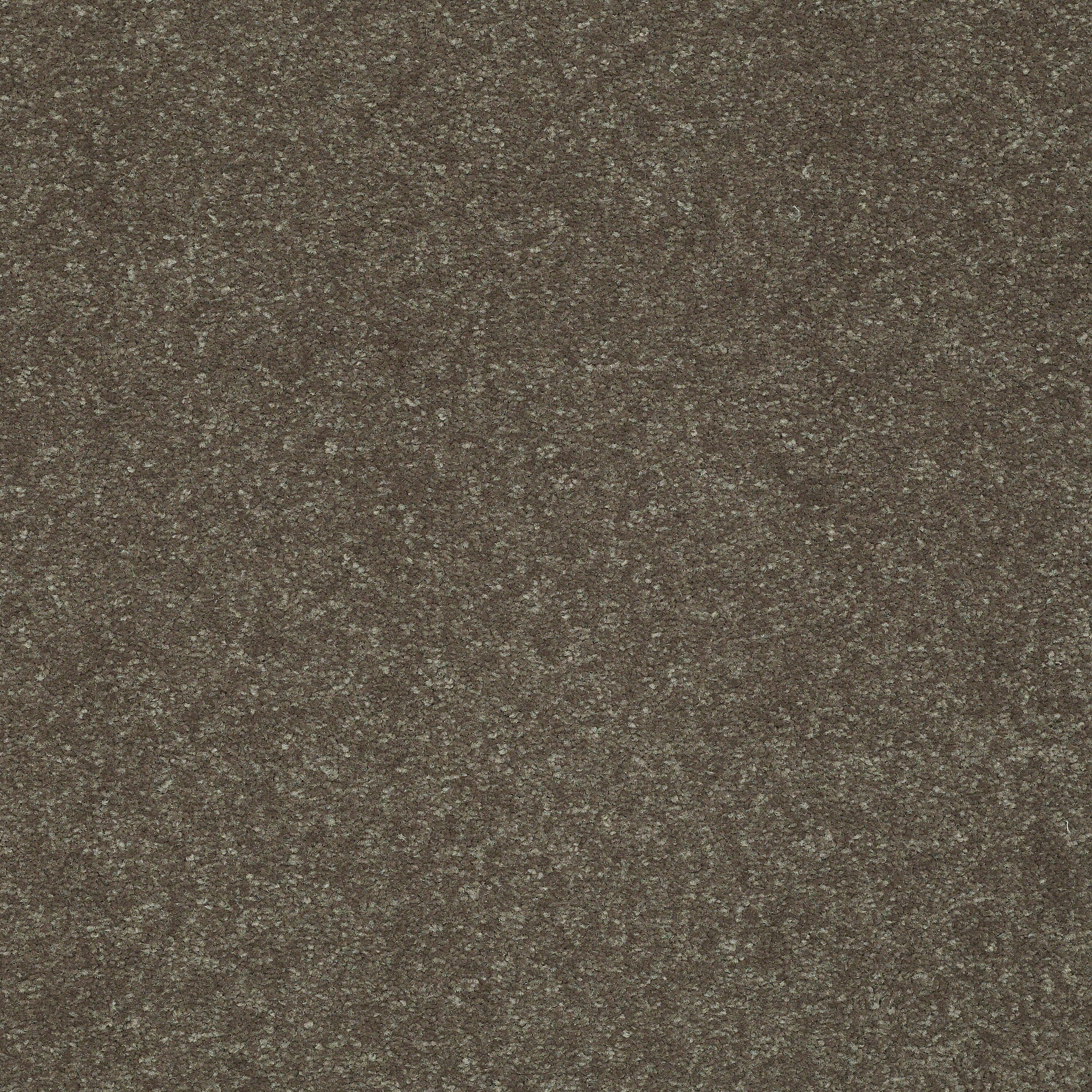 STAINMASTER 7L526-711-SAMP (Sample) Essentials Intuition III 12 Ft Tree Bark Brown 68.2-oz sq yard Polyester Textured Indoor Carpet
