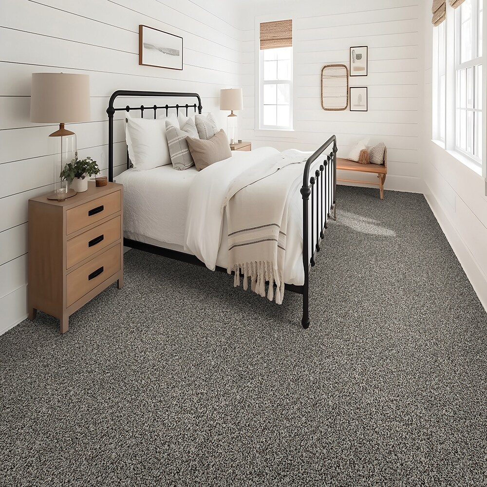 STAINMASTER SS011-L011-0808 Carpet-Samples - View #2