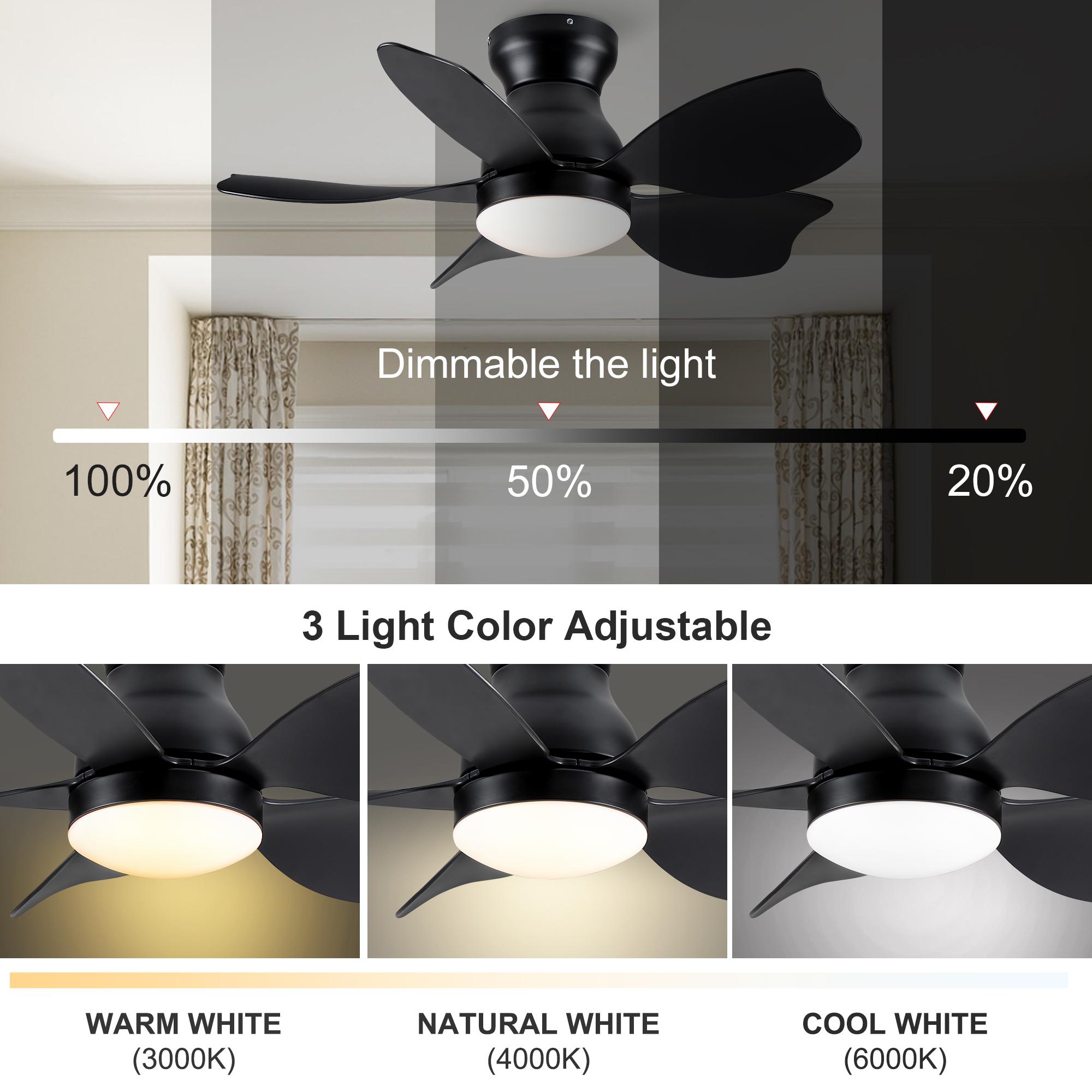 Bayfeve BFYH-3342-CF Ceiling-Fans - View #7