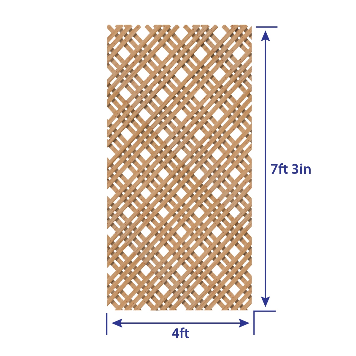 Origin 21 838724 lattice - View #3