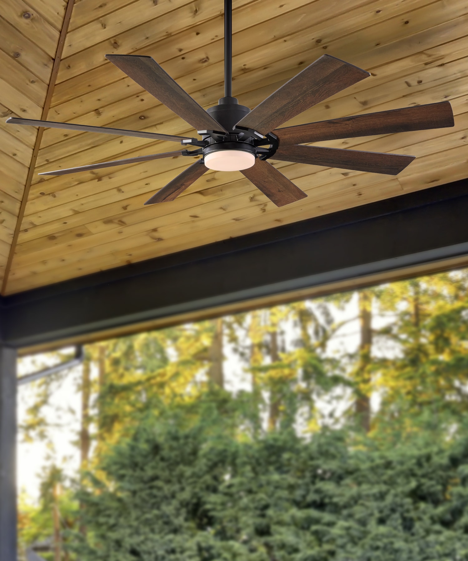 Indoor/Outdoor Ceiling Fans at