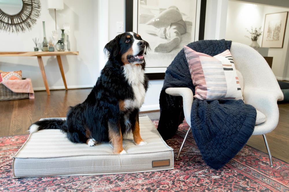 The Houndry 660004-L Pet-Beds - View #4