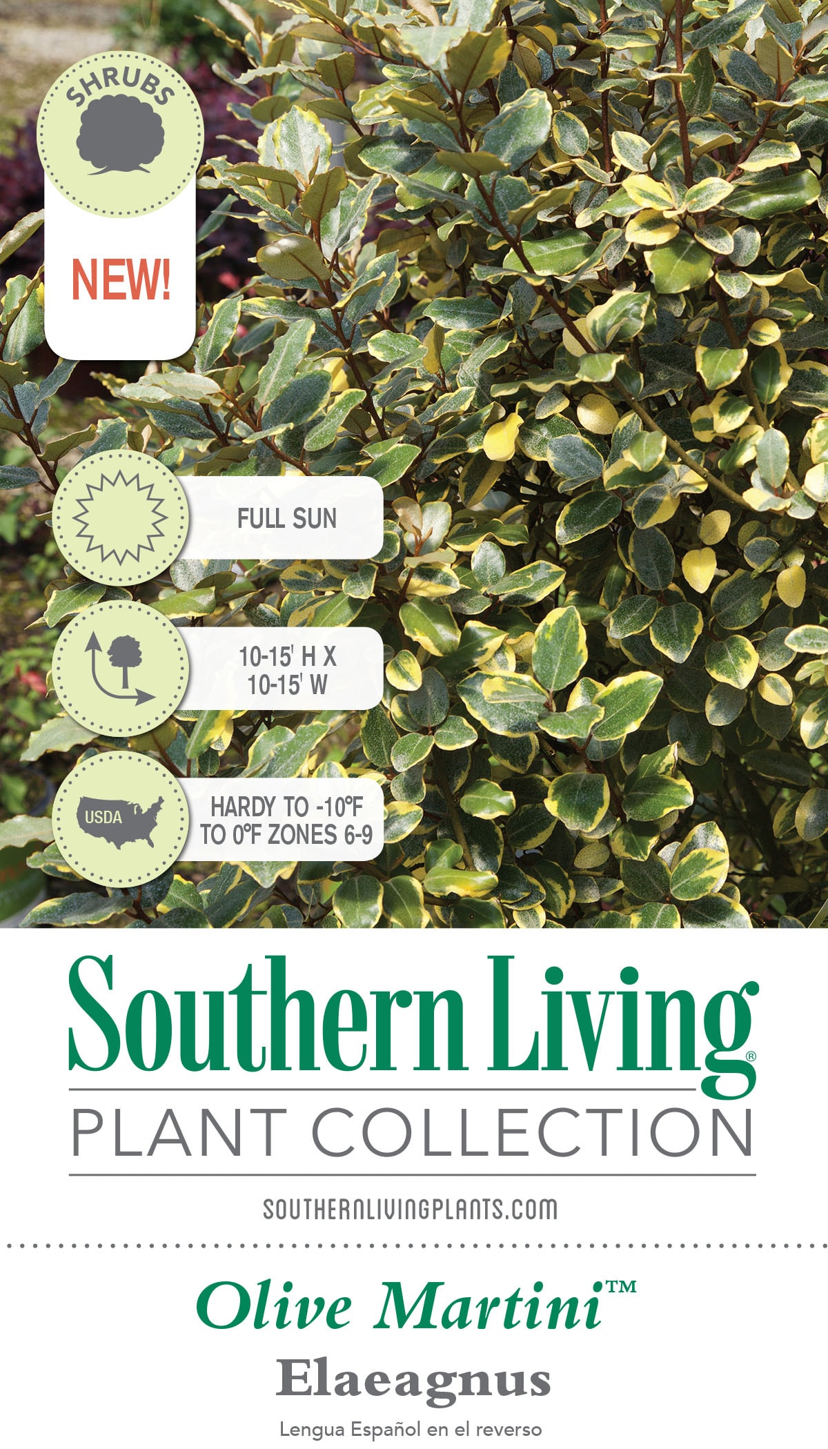 Southern Living Plant Collection 14192-1 shrubs - View #6